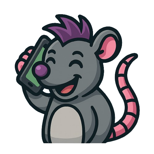 Seperator sekcji Kontakt